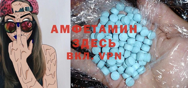 мет Алексин