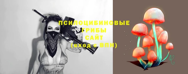 2c-b Алзамай