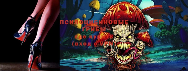 мет Алексин