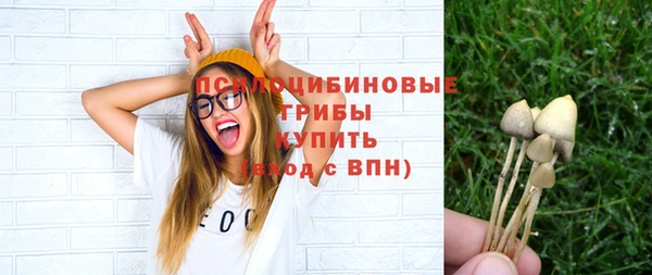 дурь Алексеевка