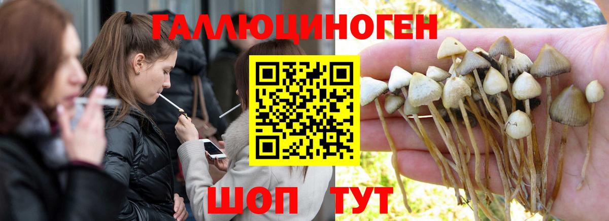 Галлюциногенные грибы Magic Shrooms  купить закладку  Невинномысск  Вход с VPN 