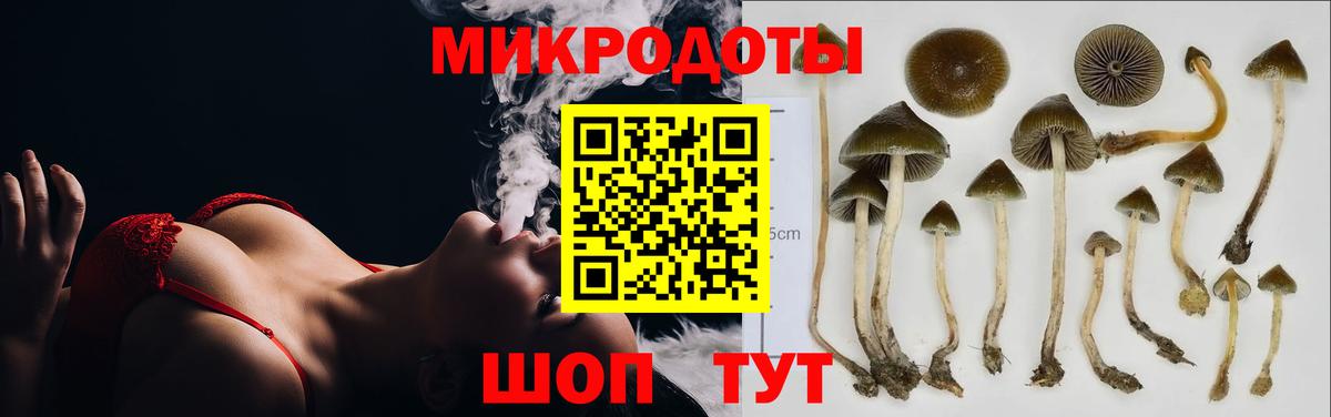Галлюциногенные грибы Psilocybine cubensis Невинномысск